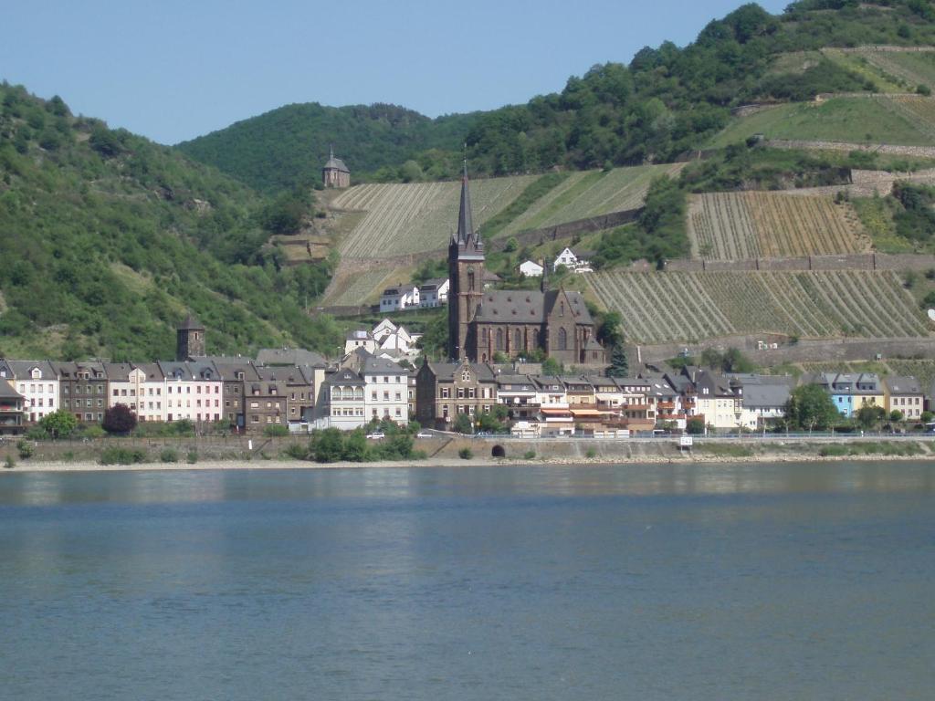Weingut Theodor Nies Apartman Lorch am Rhein Kültér fotó