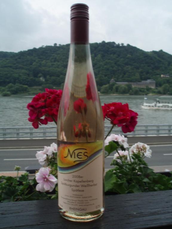 Weingut Theodor Nies Apartman Lorch am Rhein Kültér fotó