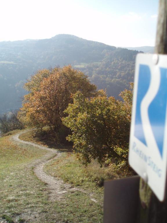 Weingut Theodor Nies Apartman Lorch am Rhein Kültér fotó