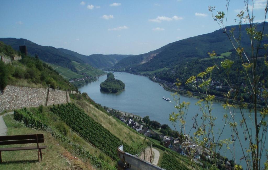 Weingut Theodor Nies Apartman Lorch am Rhein Kültér fotó