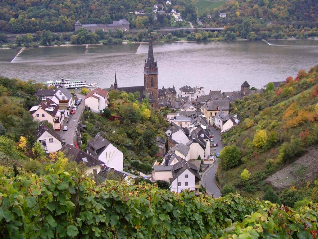 Weingut Theodor Nies Apartman Lorch am Rhein Kültér fotó